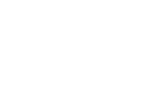 Niinirvita